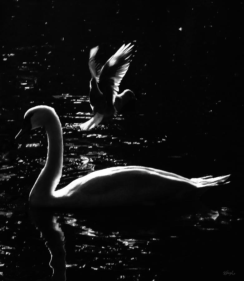 WATER BIRDS by Kipleigh Brown WATER BIRDS by Kipleigh Brown