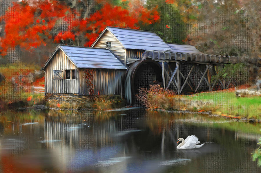 Swan at Mabry Mill Photograph by Mary Timman