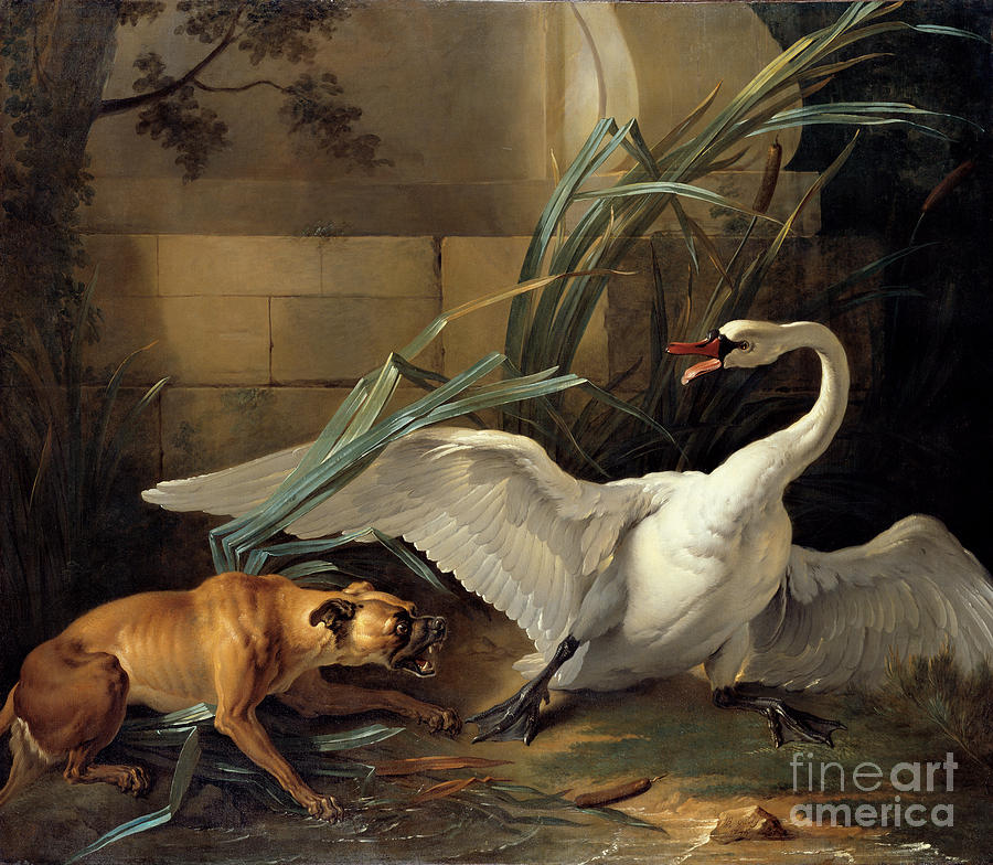 Swan Attacked by a Dog Painting by Celestial Images