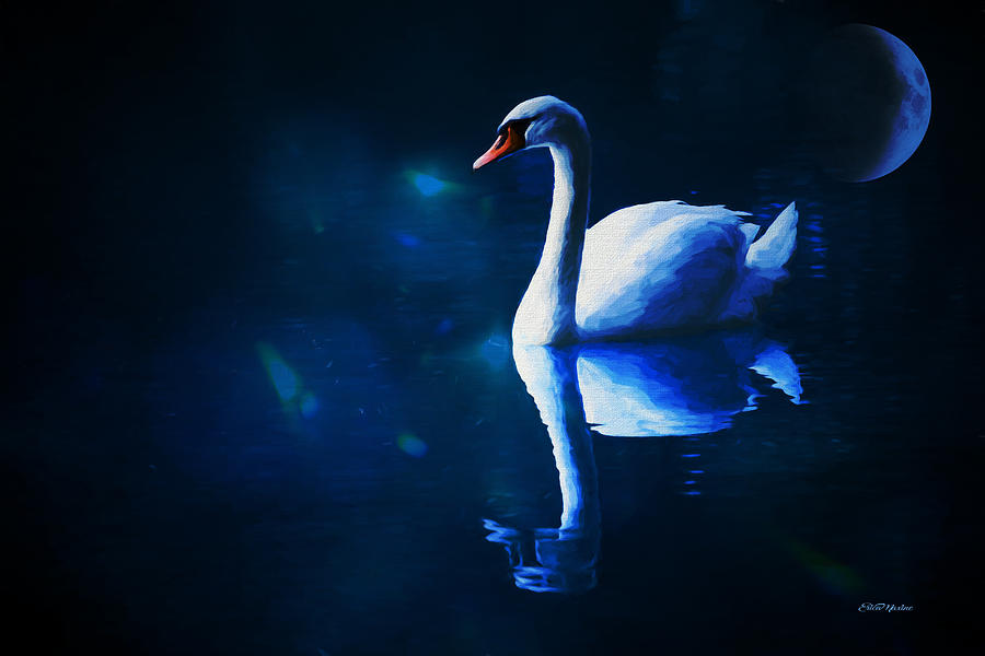 Swan Beneath the Blue Moon - Painting Painting by Ericamaxine Price