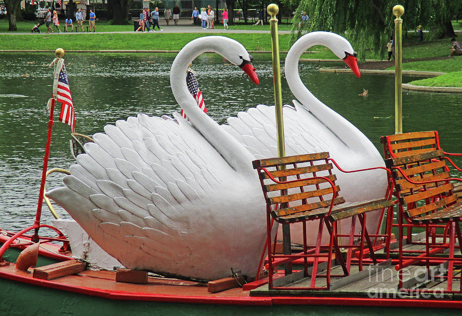 Swan Boat Boston Common Photograph by Randall Weidner
