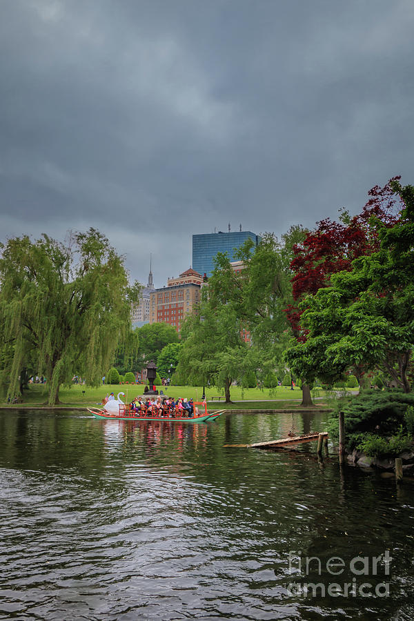 Swan Boat In Boston Photograph