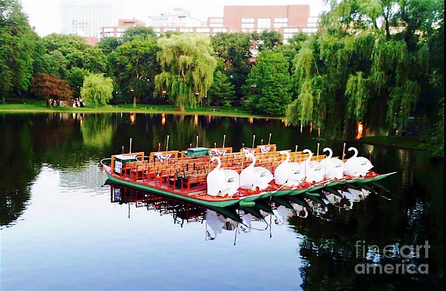 Swan Boats at Rest Photograph by Beth Myer Photography