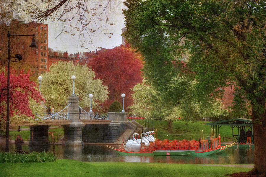 Boston Photograph - Swan Boats in the Lagoon - Boston Public Garden by Joann Vitali