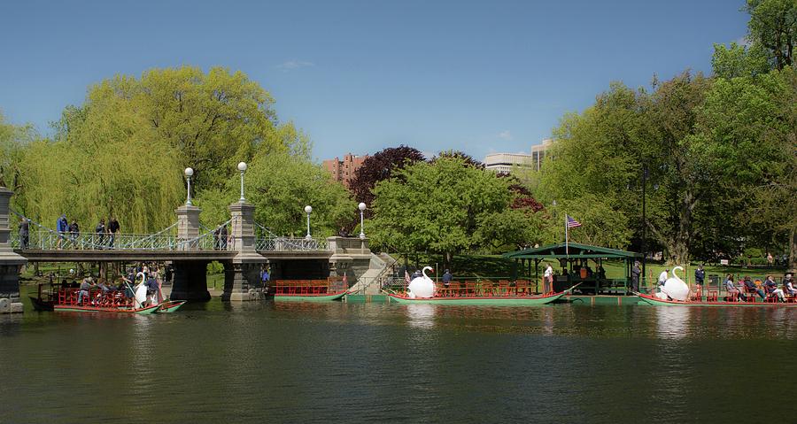 Swan Boats in the Public Garden Boston MA Photograph by Michael Saunders