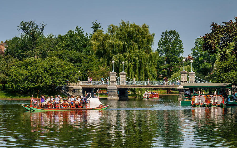 Boston Photograph - Swan Boats in the Public Garden by Meredith Silva