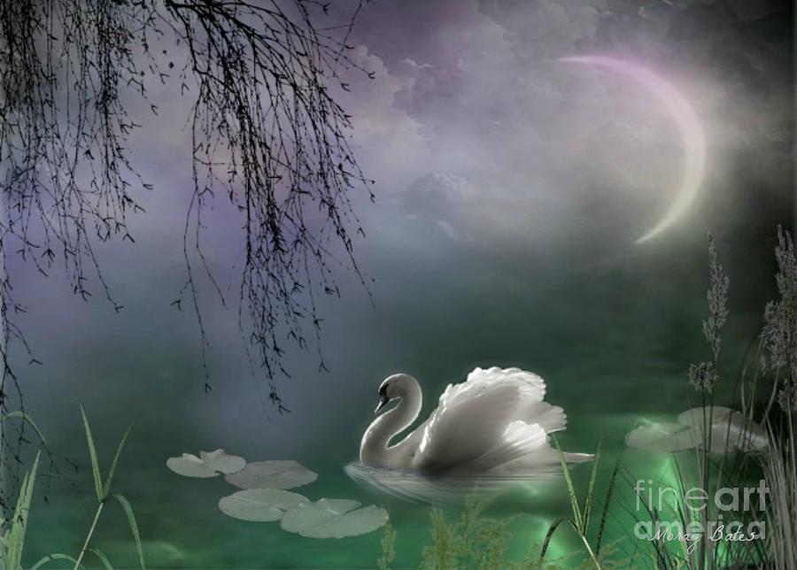Swan by Moonlight by Morag Bates Swan by Moonlight by Morag Bates