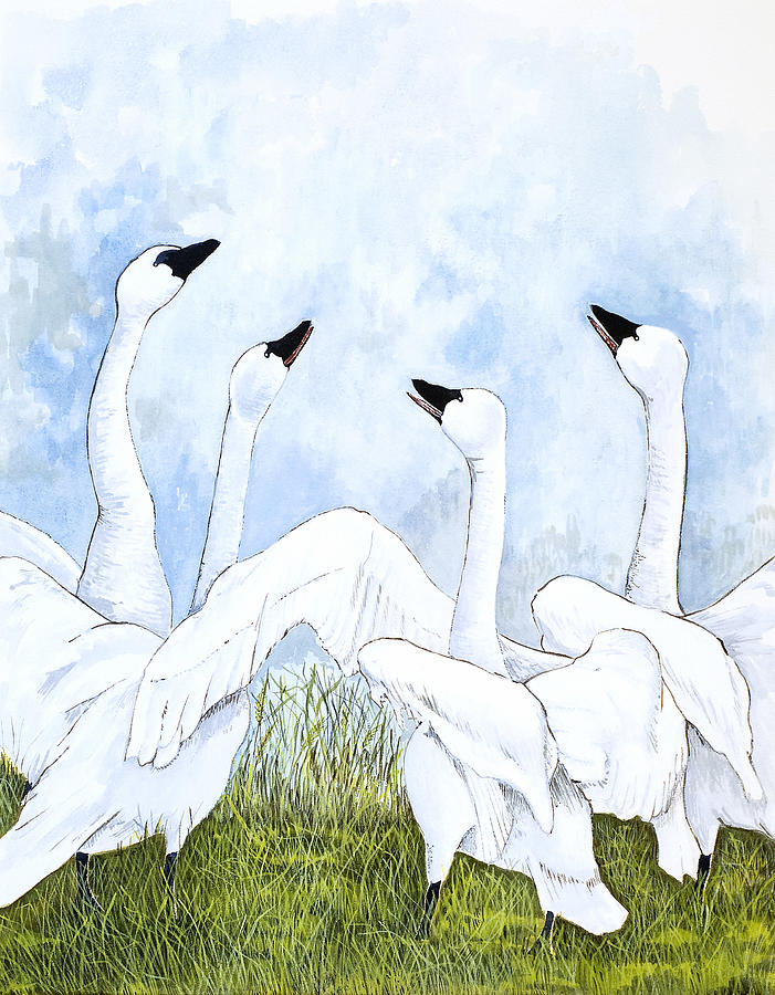 Swan Dance Painting by Virginia McLaren