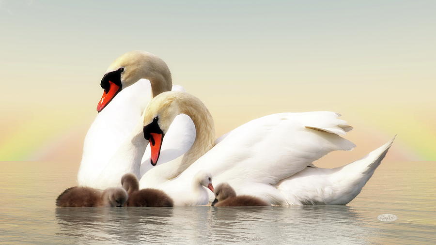 Swan family - 3D render Digital Art by Elenarts - Elena Duvernay ...