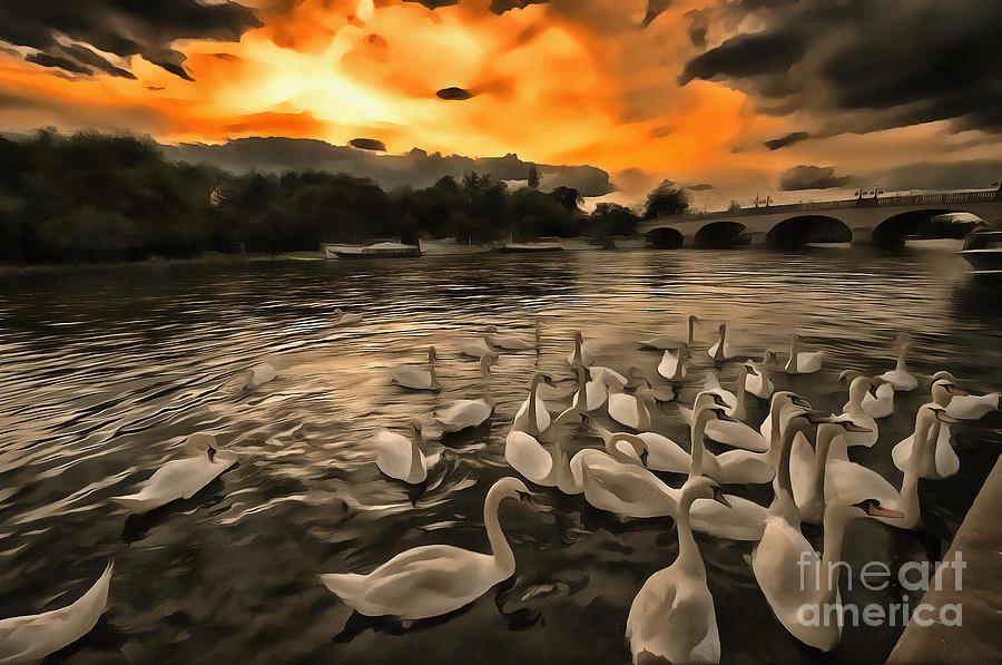 Swan Gloaming Kingston U K Painting by Jack Torcello
