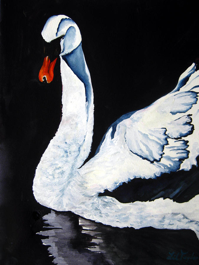 Swan in Shadows Painting by Lil Taylor