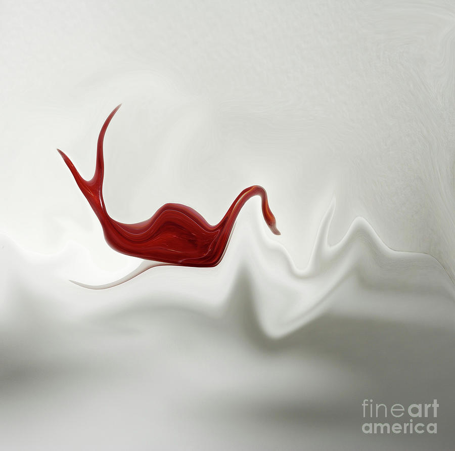 Abstract Photograph - Swan In Turbulent Waters by Skip Willits