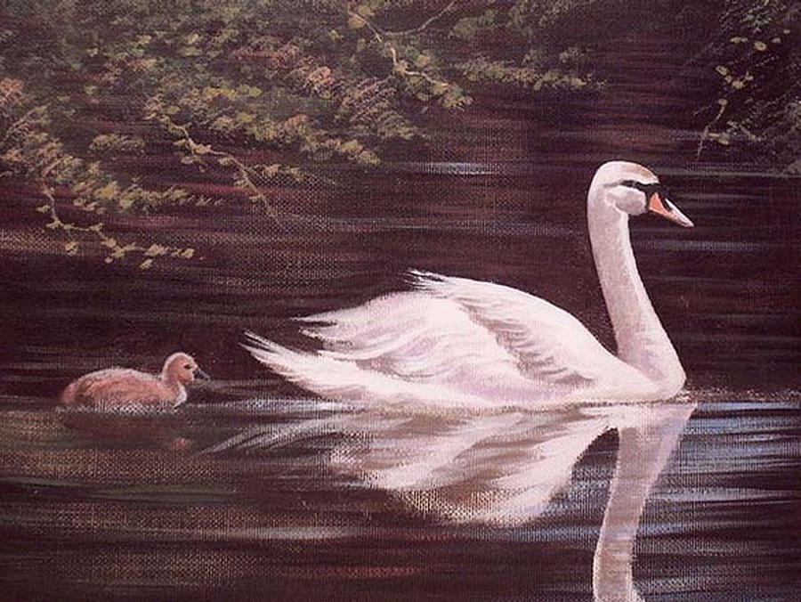 Swan Lake Painting by Cathal O malley