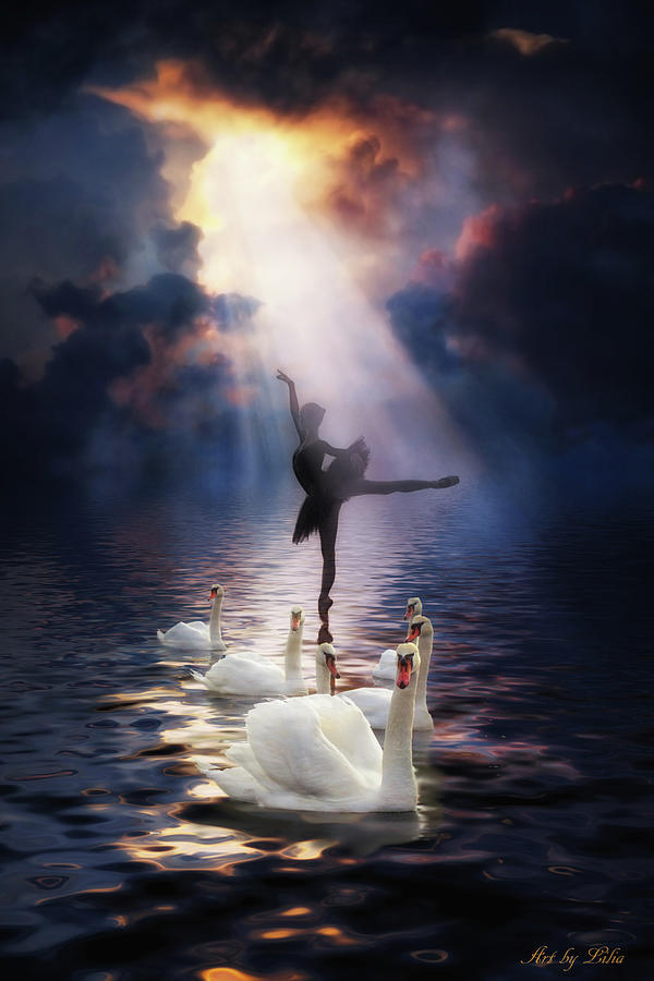 Swan Lake Digital Art by Lilia D