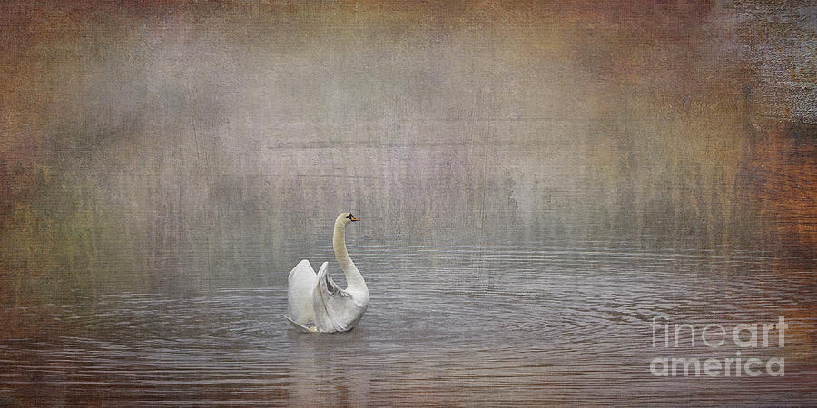 Swan Digital Art - Swan Lake by Liz Alderdice