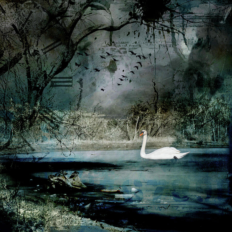 Swan Lake Digital Art by Marilyn Wilson