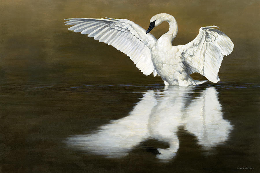 Swan Lake Painting by Peter Eades