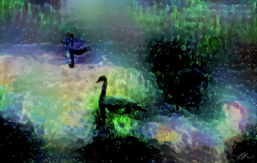 Bird Painting - Swan Lake by Scott Gaspar