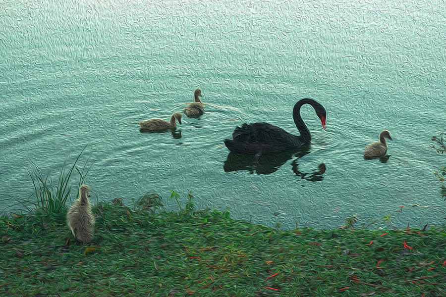 Nature Mixed Media - Swan Lake by Hemerson Coelho