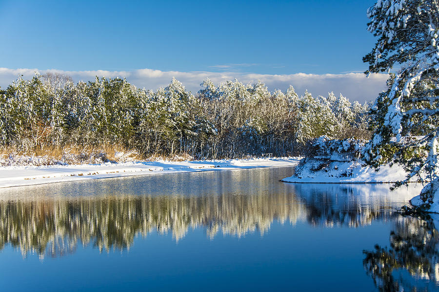 Swan Lake Winter Photograph by Cathy Kovarik