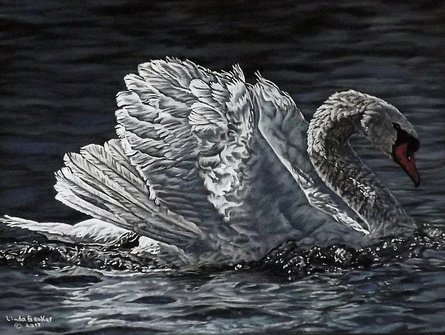 Swan Painting by Linda Becker