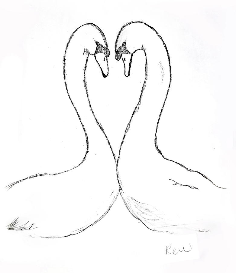 swans in love drawing