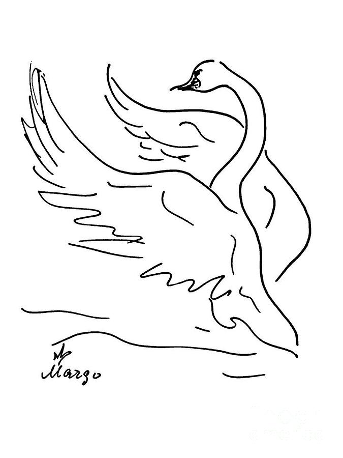 Swan Drawing By Margarita Basalyga How to draw sofía vergara. swan by margarita basalyga