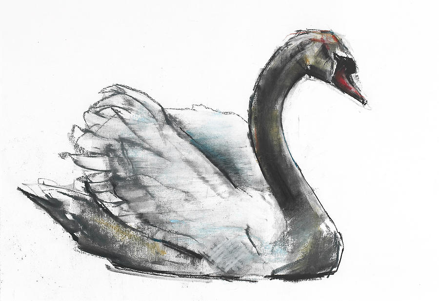Swan Painting by Mark Adlington