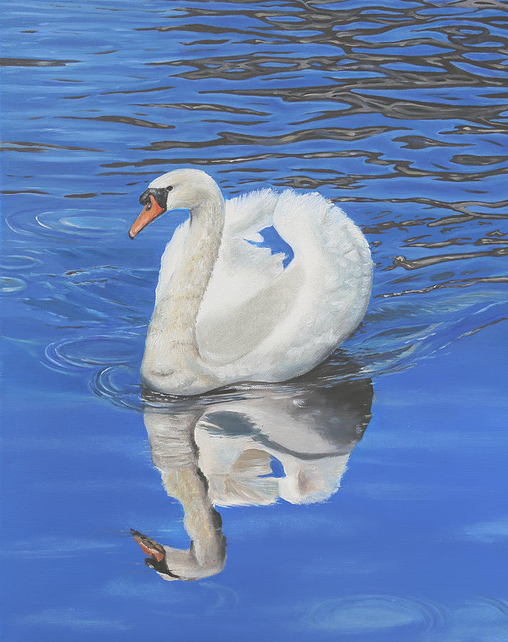 Swan Reflection Painting by Elizabeth Lock