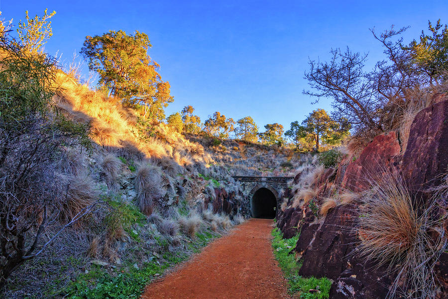 Swan View Railway Tunnel Photograph by Dave Catley