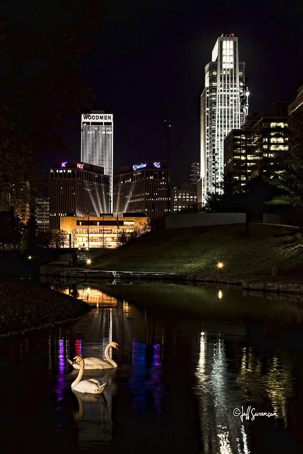 Bird Photograph - Swans at Night by Jeff Swanson