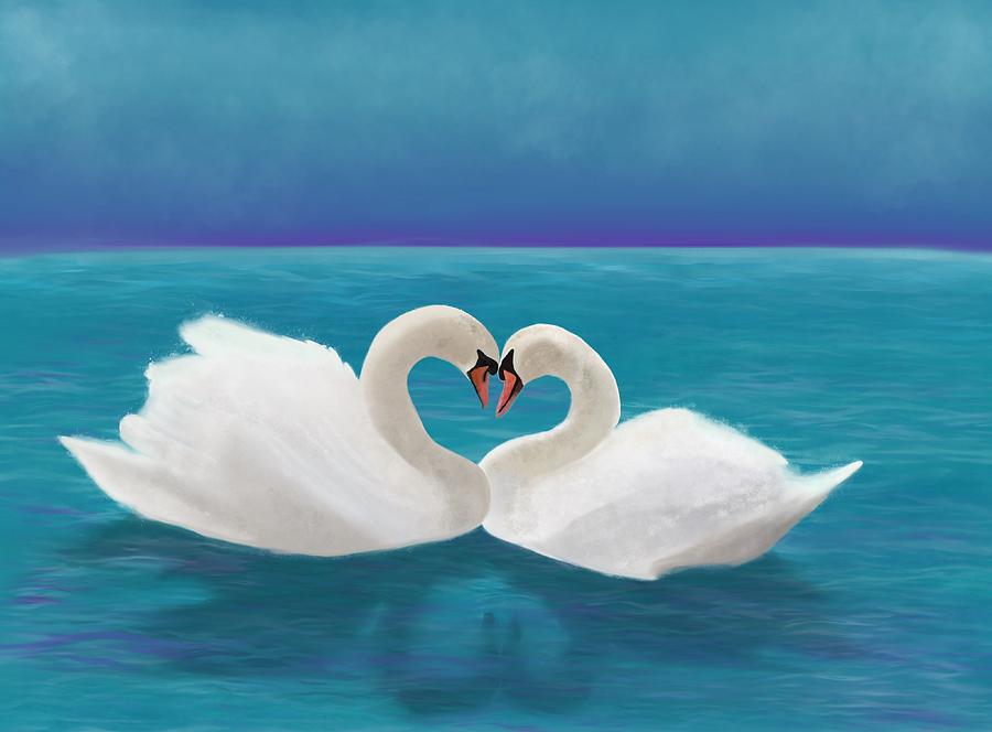 love swans