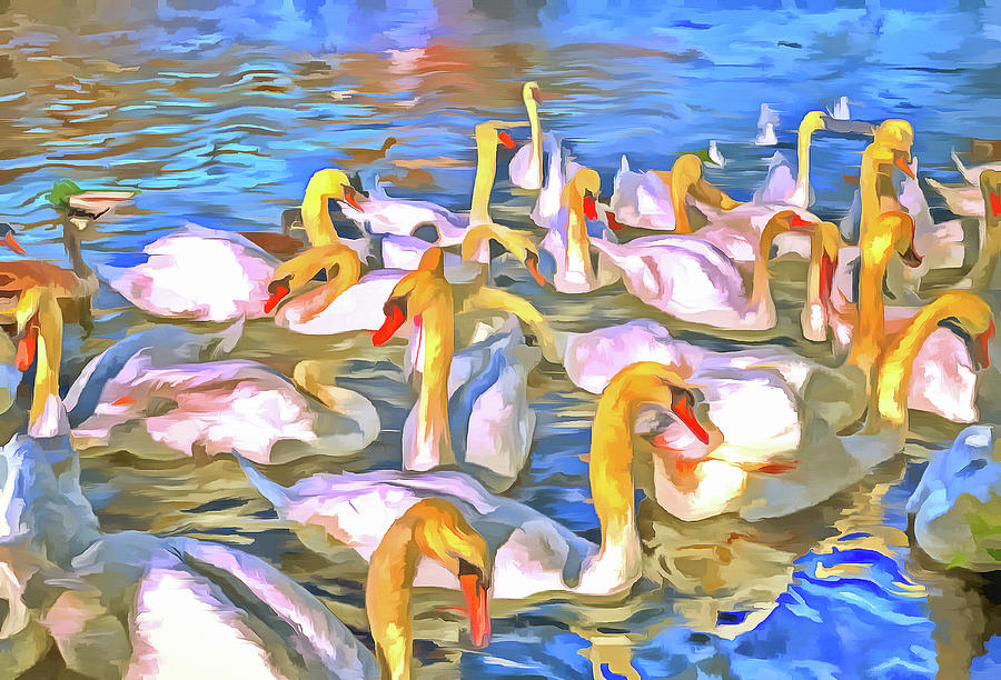 Swans Pop Art Photograph by David Pyatt