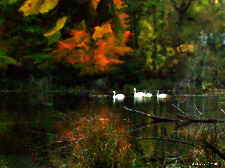 Swan Digital Art - SwanSong Impression by Michelle  BarlondSmith
