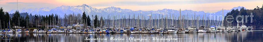 Swantown Marina Olympia WA Photograph by Larry Keahey