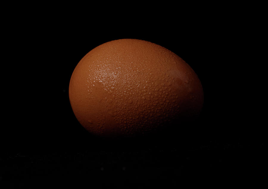 Egg Photograph - Sweaty Egg by Hyuntae Kim