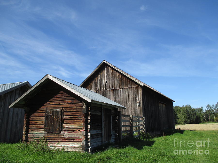 Swedish Barns Photograph by Martin Howard