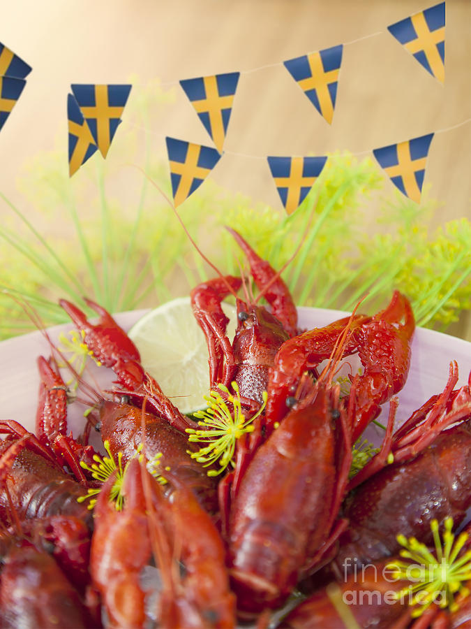 Swedish crayfish party Photograph by Sophie McAulay