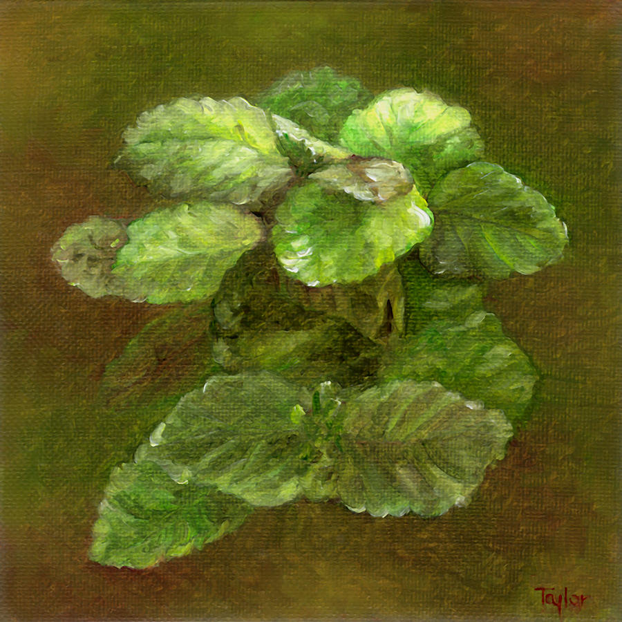 Swedish Ivy Painting by FT McKinstry