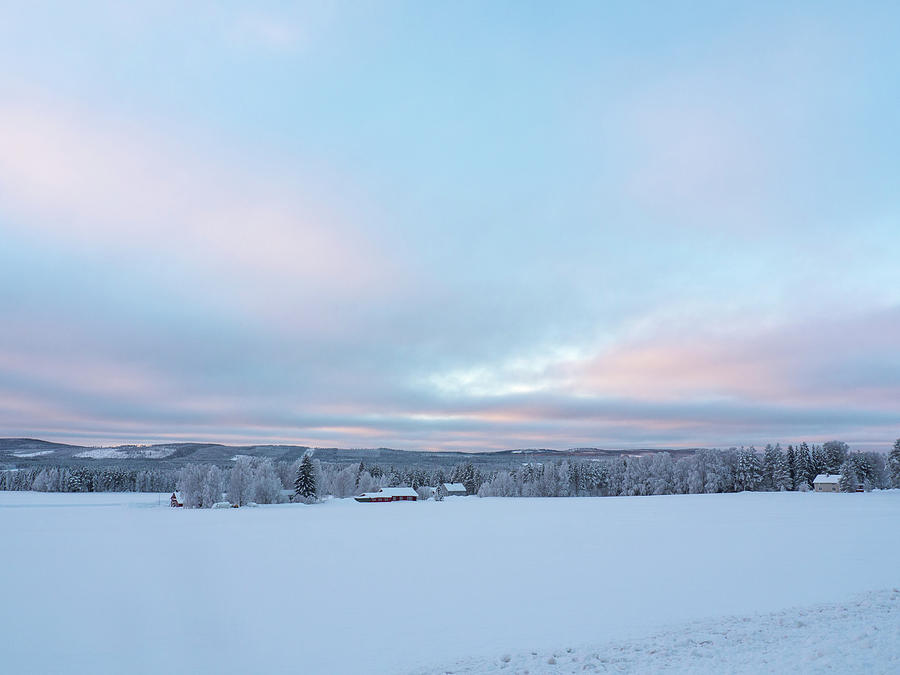 Winter Photograph - Swedish Lapland in winter by Tamara Sushko