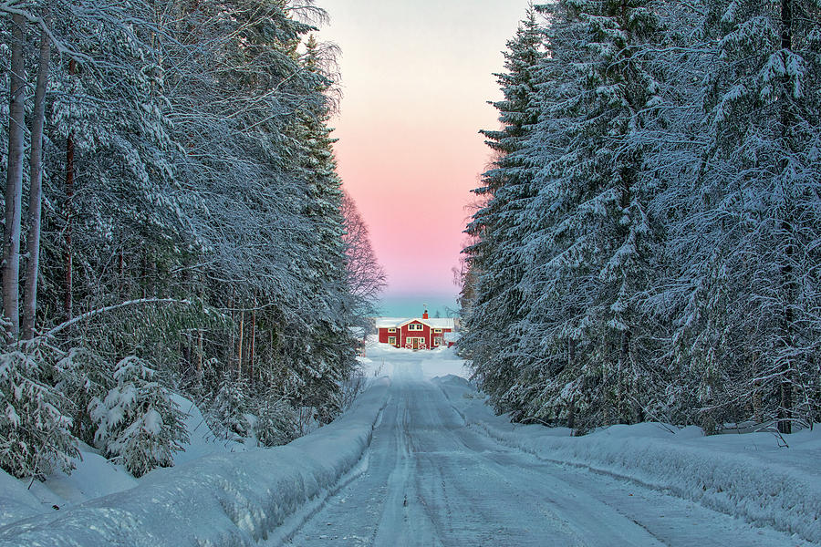 Swedish Lapland Photograph by Joana Kruse