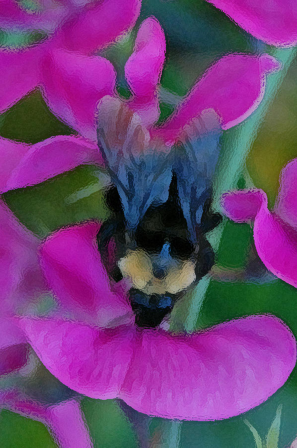 Sweet Bee  Photograph by Carol Eliassen