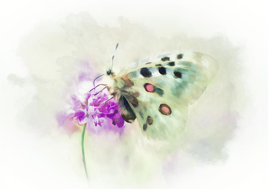 Abstract Mixed Media - Sweet Butterfly Nectar by Amanda Jane