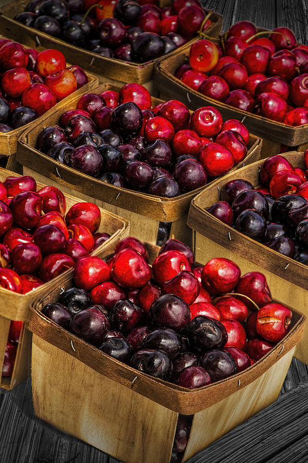 Sweet Cherries from a Cherry Orchard at the Cherry Point Farm Market Photograph by Randall Nyhof