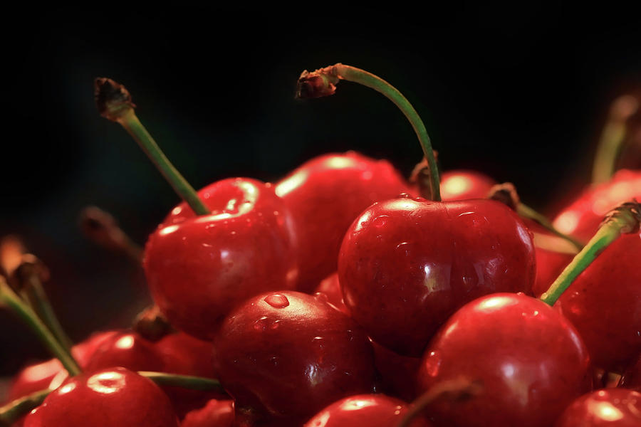 Sweet Cherries Photograph by Lori Deiter