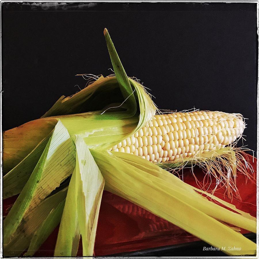 Sweet Corn on the Cob Photograph by Barbara Zahno