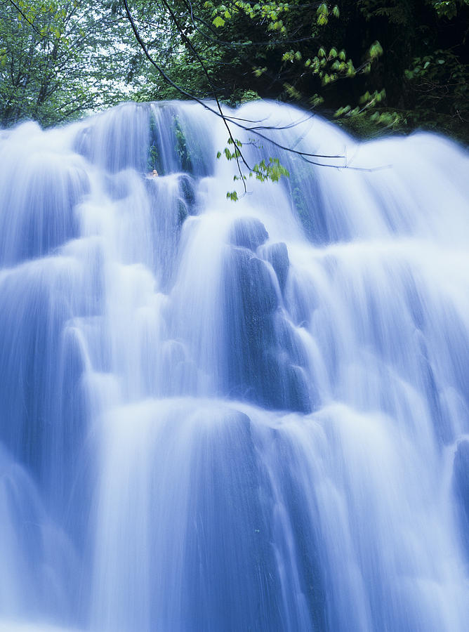 Sweet Creek Falls Photograph by Robert Potts