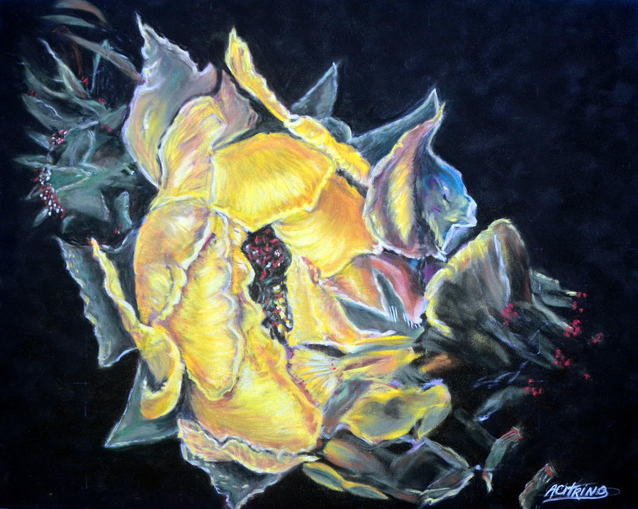 Cactus Rose Pastel - Sweet Desert Rose   Pastel by Antonia Citrino
