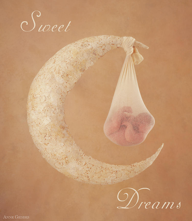 Sweet Dreams Photograph by Anne Geddes
