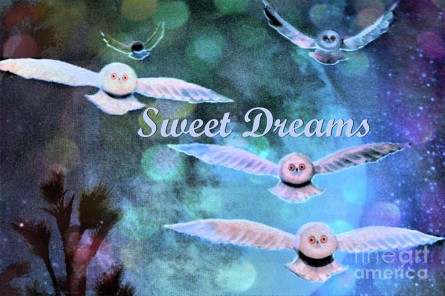 Sweet Dreams Photograph by Nina Silver